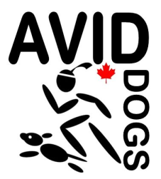 AVID DOGS